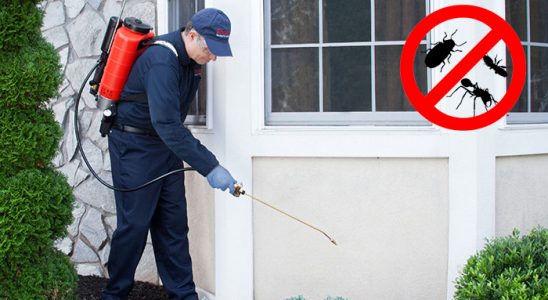 İslahiye Hamam Böceği İlaçlama böcek ilaçlama ve haşere kontrolü — ilaclama-tr.com